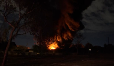 Large fire damages nursery in south Phoenix overnight