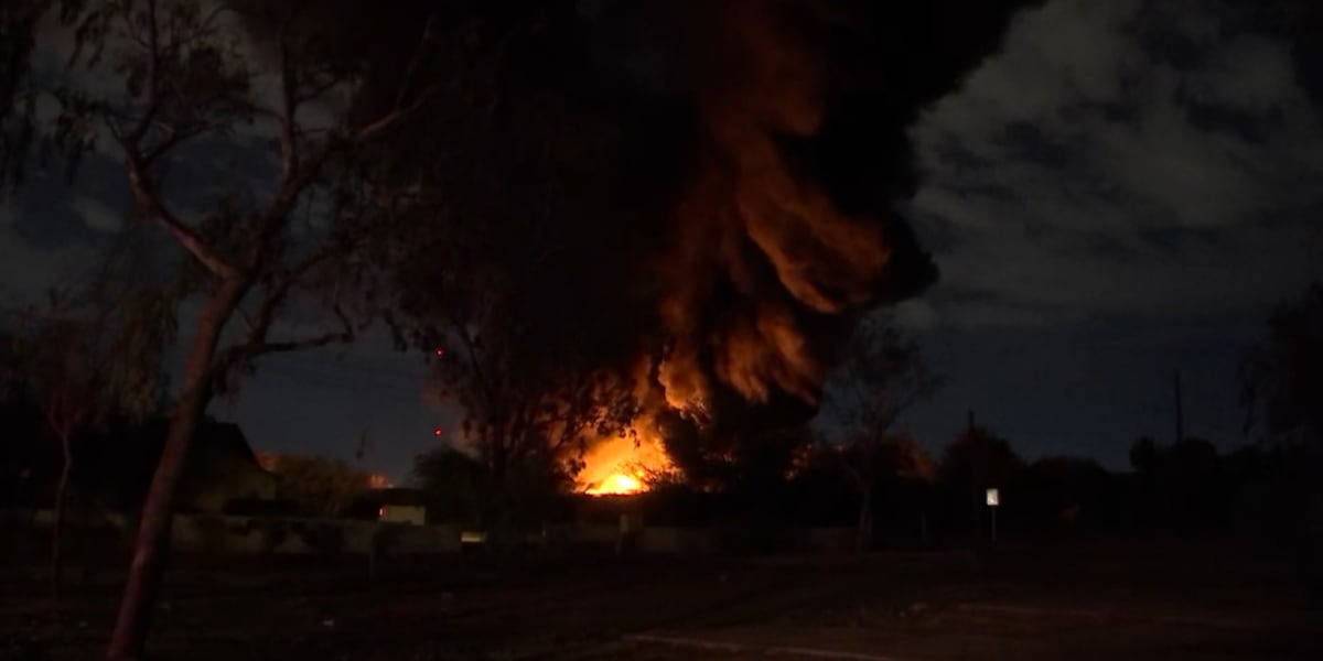 Large fire damages nursery in south Phoenix overnight