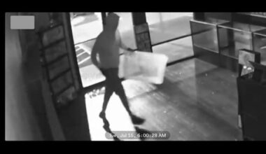 Owner of Mandarin trading card shop says $5K in Pokémon cards swiped in smash-and-grab burglary
