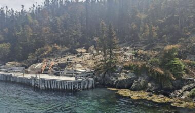 ‘Extreme wildfire behaviour’ forces evacuation of Newfoundland town - CTV News