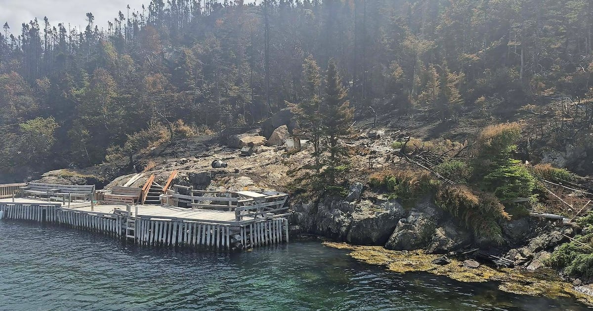 ‘Extreme wildfire behaviour’ forces evacuation of Newfoundland town - CTV News