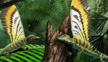 Bizarre Appendage Discovered on Reptile Fossil : ScienceAlert