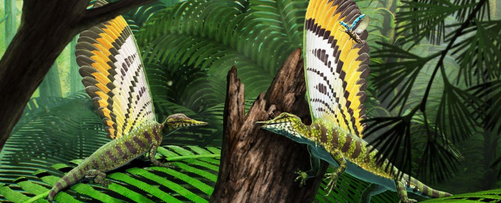 Bizarre Appendage Discovered on Reptile Fossil : ScienceAlert