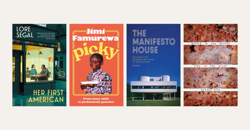 From Lore Segal to Jimi Famurewa: new books reviewed in short