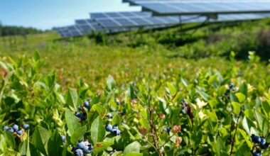 Maine eliminates solar subsidy program