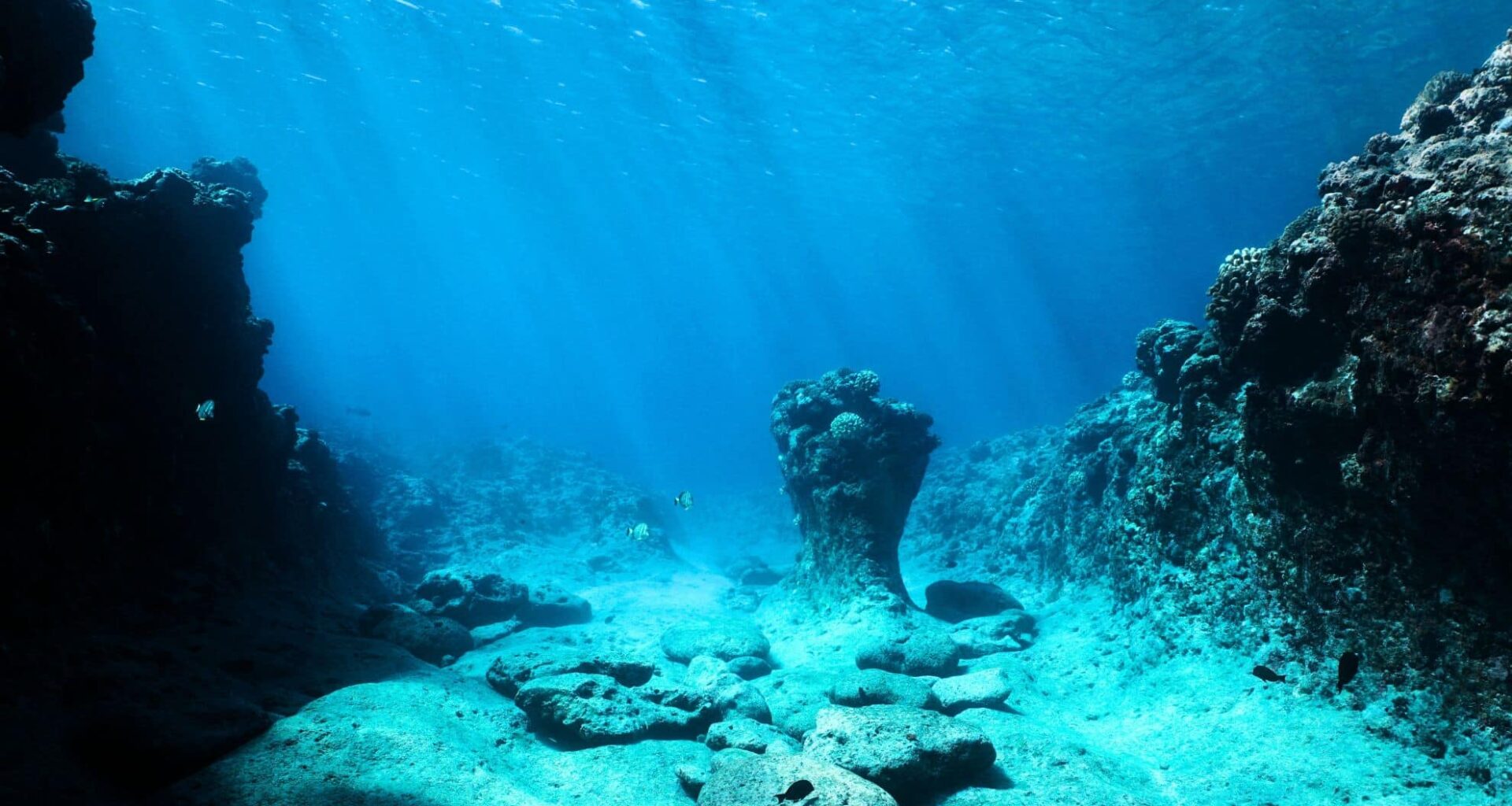 Rocky Ocean Floor
