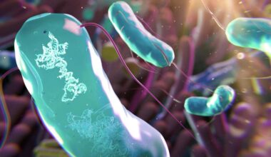 Genetically tailored microbes could tweak our microbiomes