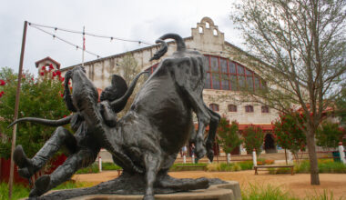 Weekend Worthy: Western grit blends with live music at Cowtown Coliseum experience