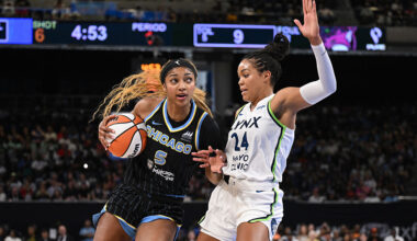 Lynx rally falls short in Chicago