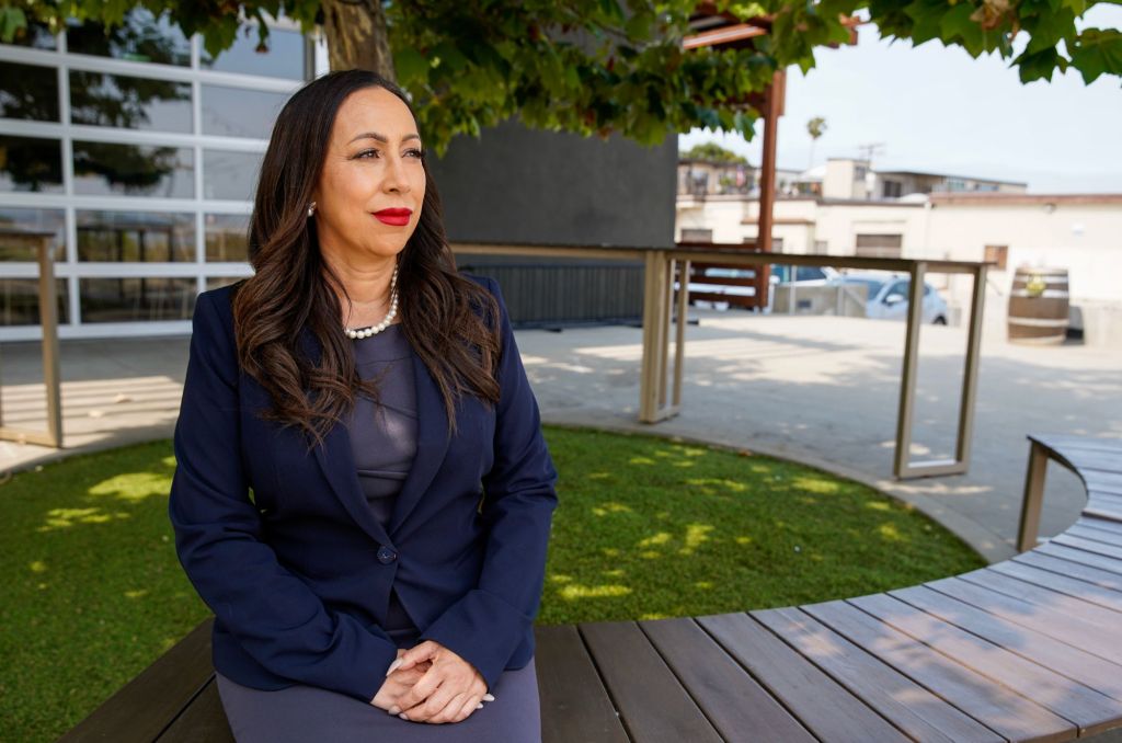 Democrats will control San Diego County. Here's what they want to do.