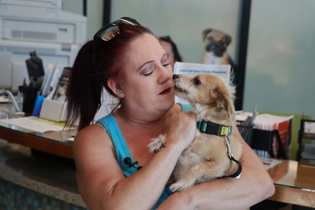Pet microchipping offered for free over Fourth of July