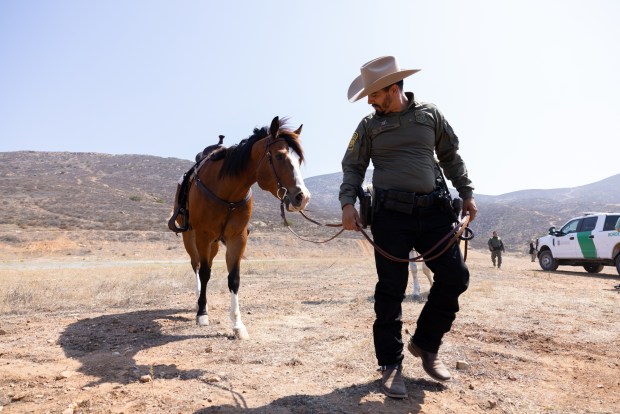 U.S. Border Patrol horse unit instructor Christian Corona walks a horse to a trailer near the U.S.-Mexico border walls on Thursday, June 26, 2025 in Otay Mesa, California. Agents have used horses since the agency was created but paused in 2023. The program was resurrected in March and the unit consists of 12 horses. (Ana Ramirez / The San Diego Union-Tribune)
