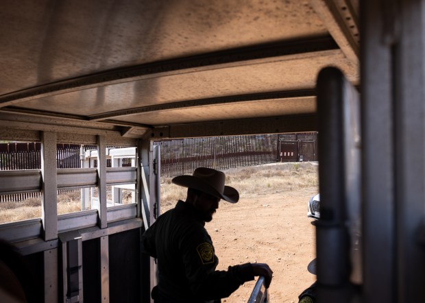 U.S. Border Patrol agents loads a horse into a trailer. (Ana Ramirez / The San Diego Union-Tribune)