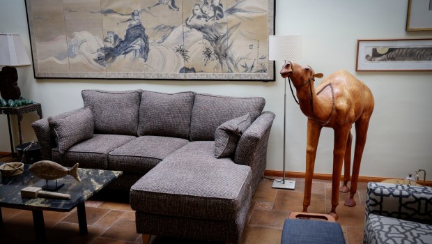 A pre-owned couch and wooden Camel sculture, found at thrift shops, on display at a home in Point Loma on Thursday, June 19, 2025. Designer Diana Clark offers tips on how to get the most bang for your buck and what to look for when shopping in thrift stores, consignment stores, Facebook Marketplace and the like.. (Photo by Sandy Huffaker for The San Diego Union-Tribune)