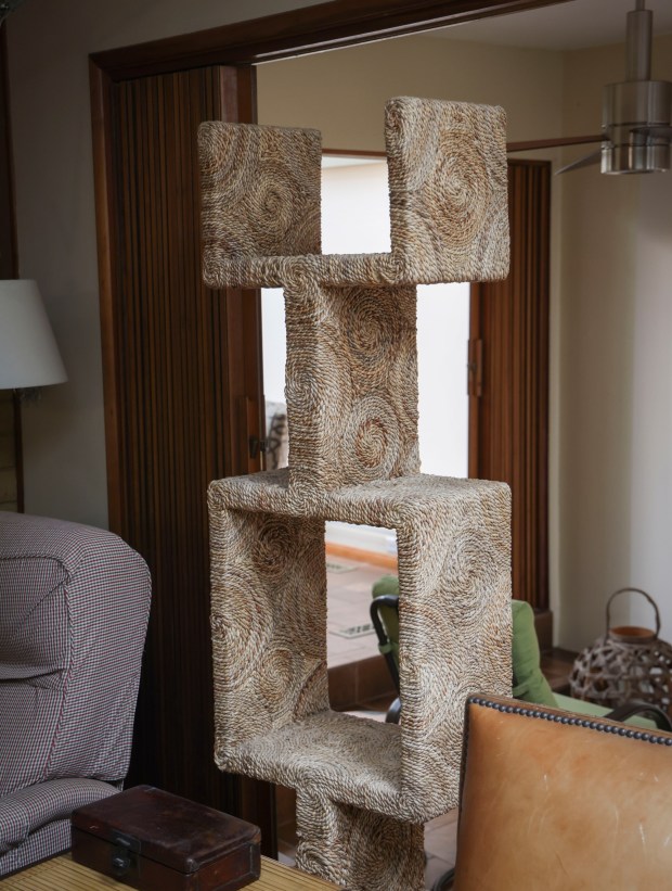 A Cat Tree on display at a home in Point Loma on Thursday, June 19, 2025. Designer Diana Clark offers tips on how to get the most bang for your buck and what to look for when shopping in thrift stores, consignment stores, Facebook Marketplace and the like.. (Photo by Sandy Huffaker for The San Diego Union-Tribune)