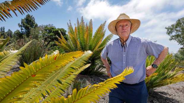 Portrait of John Allen in his garden of drought tolerant plants. Close at left is a Dioon maejae cycad. (Charlie Neuman / For The San Diego Union-Tribune)