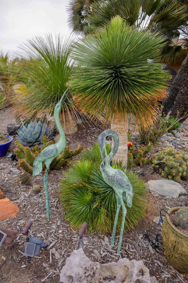 Bird sculptures stand next to Yucca Linearifolia plants near the driveway at the home of John Allen. (Charlie Neuman / For The San Diego Union-Tribune)