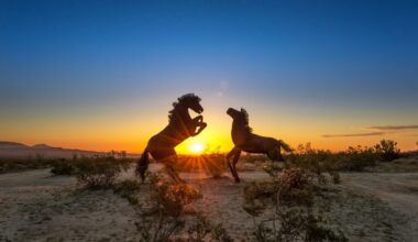 Driving through the San Diego County desert? Expect intense heat this week – San Diego Union-Tribune
