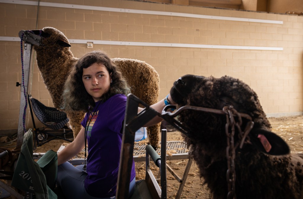 The San Diego County Fair packs up until next summer – San Diego Union-Tribune