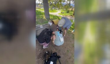 B.C. woman saves child’s life, questions why international doctors face barriers in Canada
