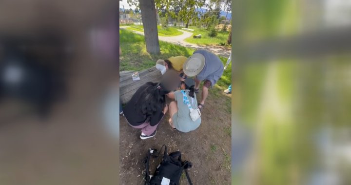 B.C. woman saves child’s life, questions why international doctors face barriers in Canada