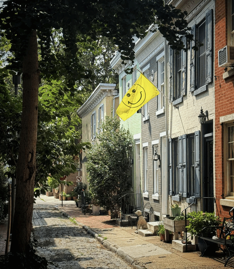 2026 looms; Fringe lineup announced; Weekly gun violence brief