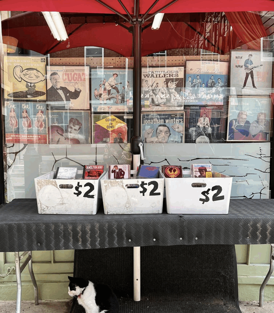 Dugan v Krasner rematch?; Chinatown Stitch loses funding; Summer events