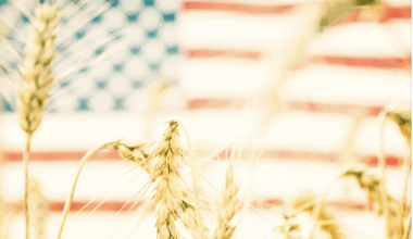 Food security: US Ag Department blocks support of many foreign nationals