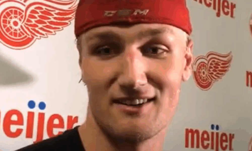 Jesper Eliasson, , Red Wings draftee