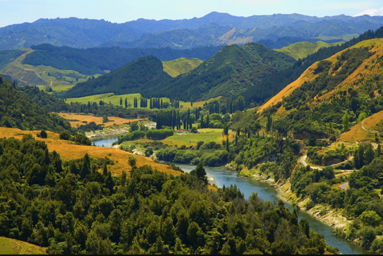 Whanganui River in the Whanganui National Park