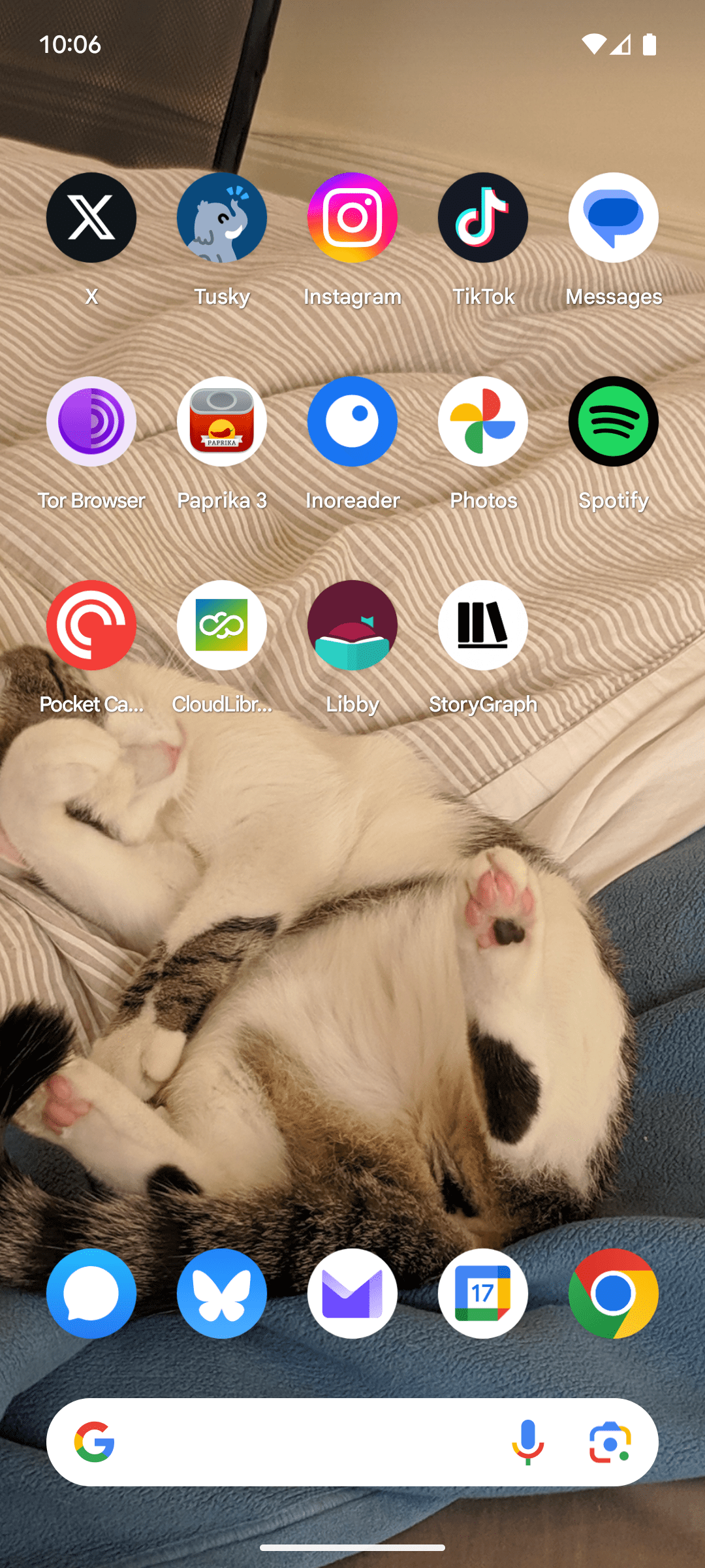 An image of Molly White’s homescreen.