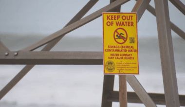 Sewage-contamination forecasting app lets people know when its safe to swim in south county – NBC 7 San Diego