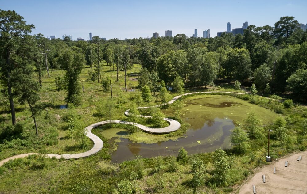 A pond covered with lily pads at the Houston Arboretum & Nature Center.
