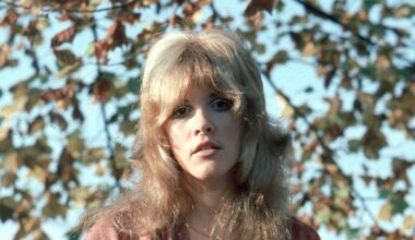 Stevie Nicks Calls This 'Holland' Track a "Quintessential" Beach Boys Song, Yet Brian Wilson Never Liked It