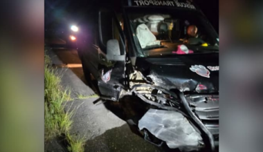 Houston’s Rescued Pets Movement faces setback after van accident, calls for donations