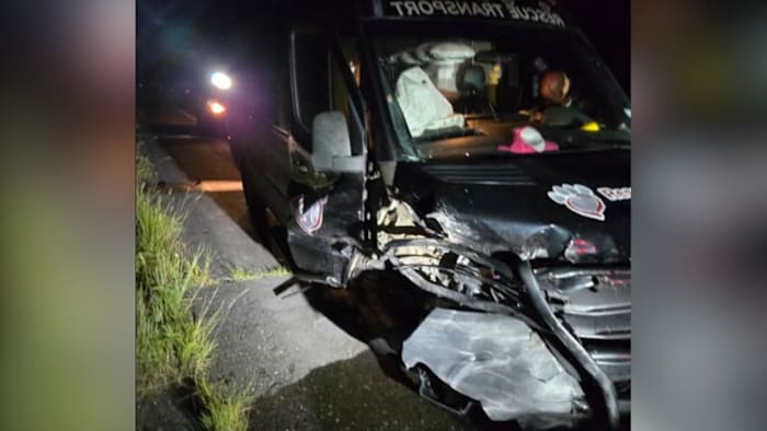 Houston’s Rescued Pets Movement faces setback after van accident, calls for donations