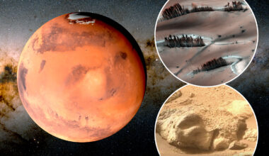Remarkable Nasa photo shows eerie Mars landscape scattered with 'TREES' - and it's not the only mystery in the sand