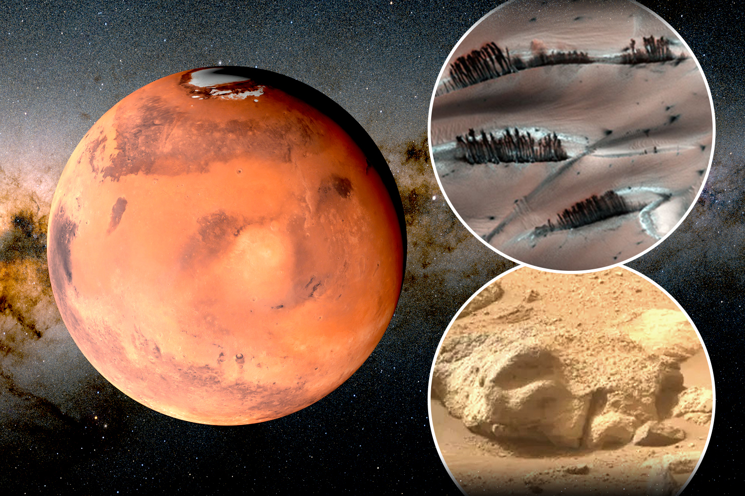 Remarkable Nasa photo shows eerie Mars landscape scattered with 'TREES' - and it's not the only mystery in the sand