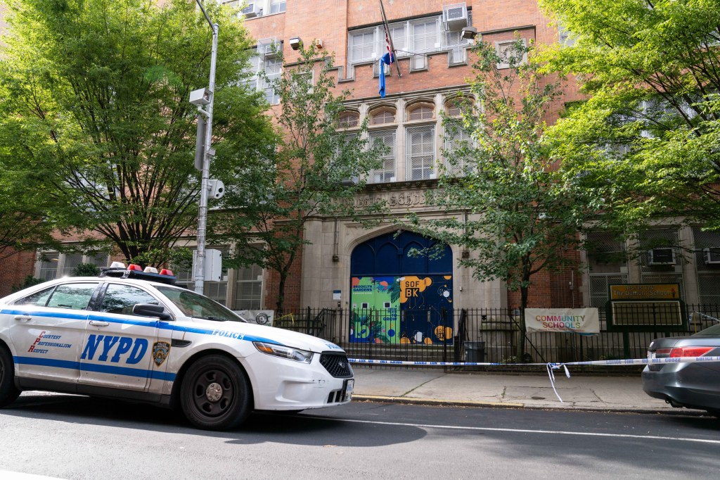 Man, 29, gunned down outside Brooklyn school he attended as child