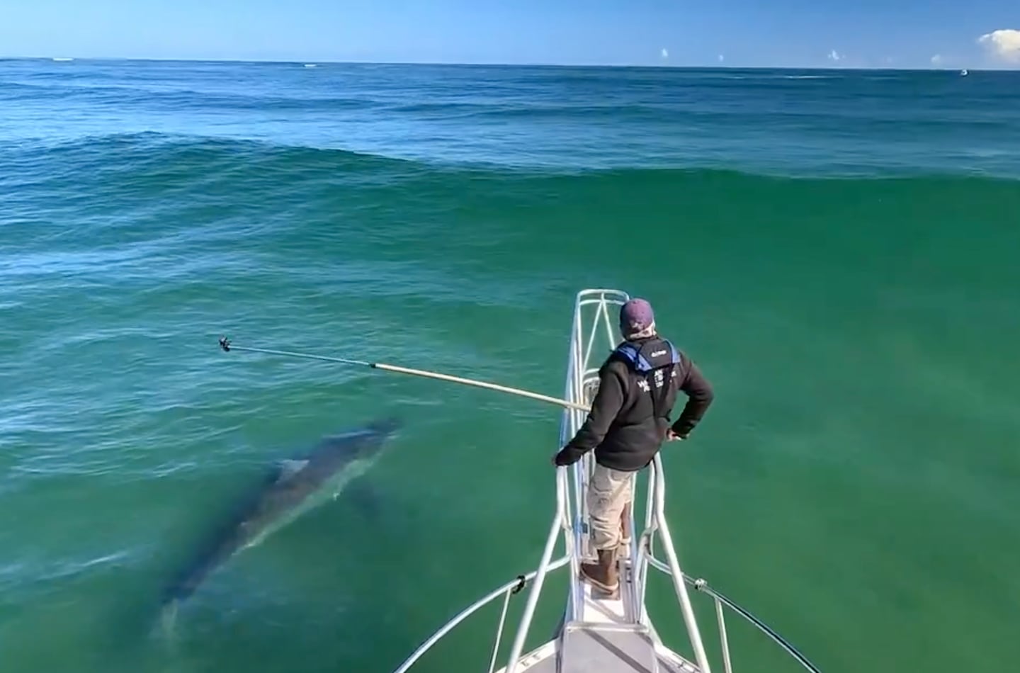 A 12-foot shark was spotted off Chatham on Oct. 23, 2024.