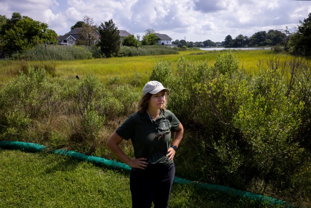 Mary-Carson Stiff with Wetlands Watch at the end of LaValette Avenue in Norfolk, Virginia, on July 14, 2025. (Billy Schuerman / The Virginian-Pilot)