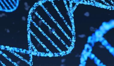 New research identifies critical gene for treatment