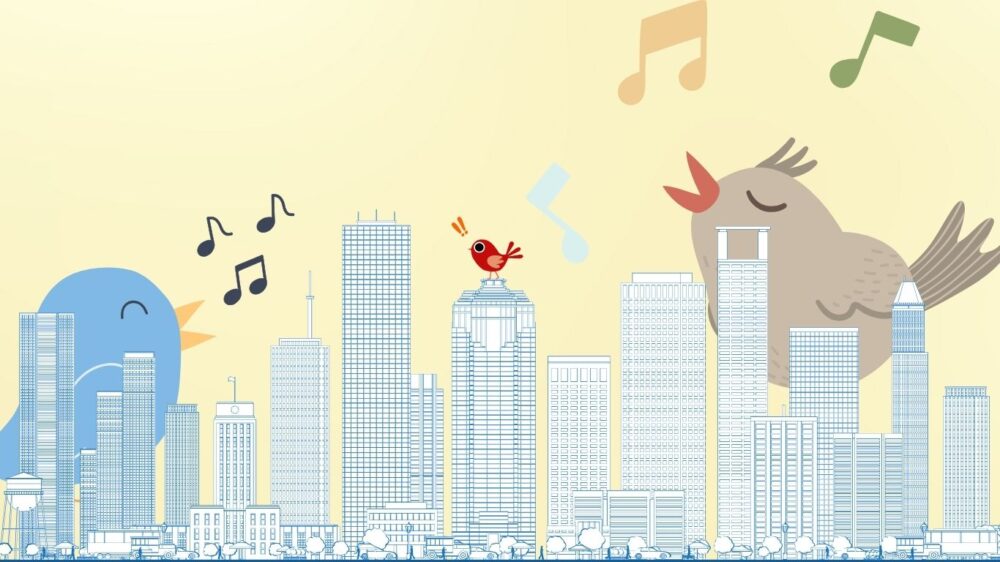 Although some birdsong is soothing to the human ear, they may be act as a warning system to other birds.