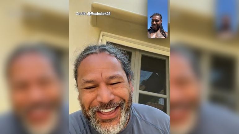 Polamalu