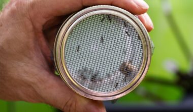 Texas officials report first West Nile cases of the year, urge mosquito precautions