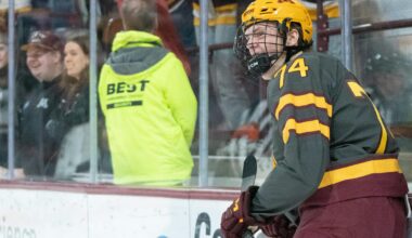 Team USA names roster, including 14 Minnesotans, for World Junior Summer Showcase