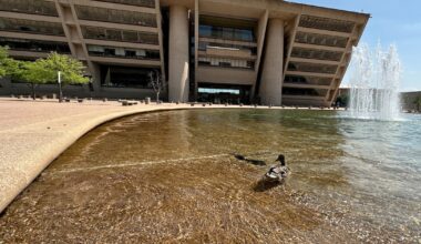 A lone Dallas resident shouldn’t be able to delay a zoning case