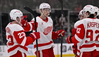What does Red Wings’ path to internal improvement really look like?
