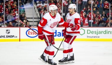 Red Wings depth chart 1.0: Detroit has flexibility, but which option is best?