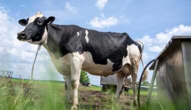 Canada and New Zealand reach resolution in dairy trade dispute, Ottawa says